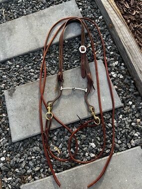 Bridle set up